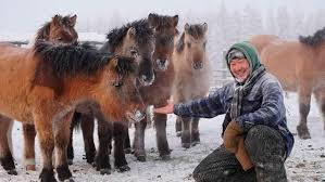 5 Amazing facts about life in Siberia 