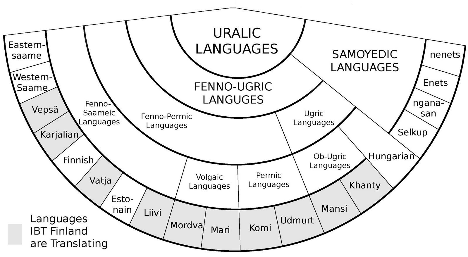 What You Need to Know About Ugric Languages Learn Russian Language